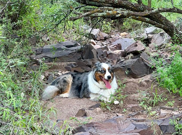 00 Proctor Lane F-1, Patagonia, AZ 85624