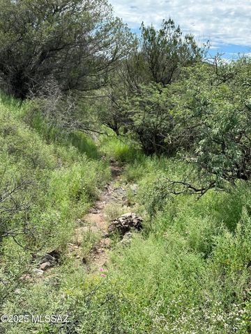 00 Proctor Lane F-1, Patagonia, AZ 85624