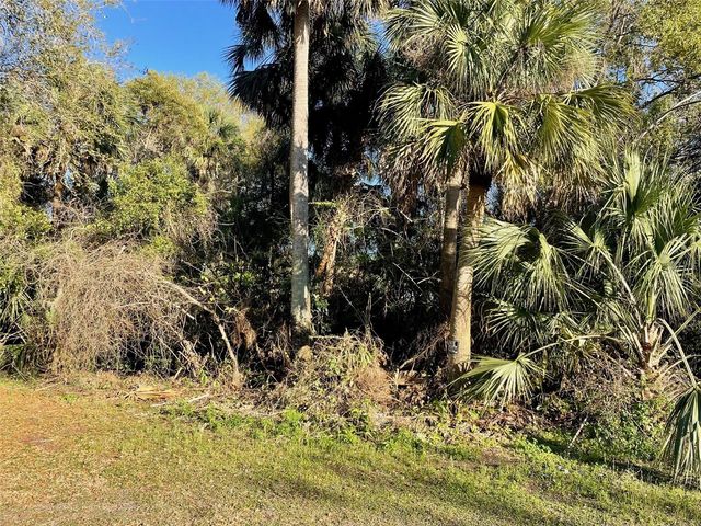 OSTEEN MAYTOWN ROAD, Osteen, FL 32764