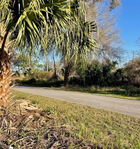 OSTEEN MAYTOWN ROAD, Osteen, FL 32764