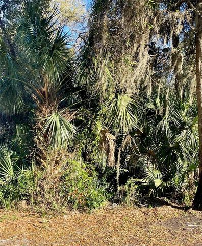 OSTEEN MAYTOWN ROAD, Osteen, FL 32764