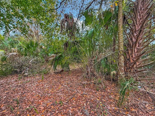 6359 S LEWDINGAR DRIVE, Homosassa, FL 34446