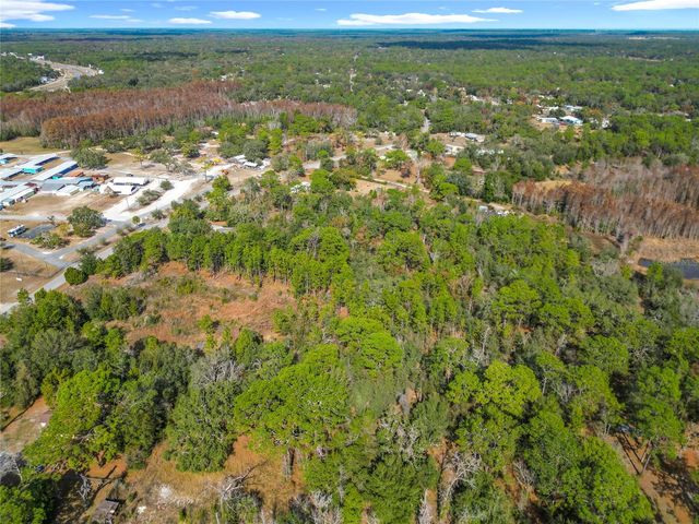 6359 S LEWDINGAR DRIVE, Homosassa, FL 34446