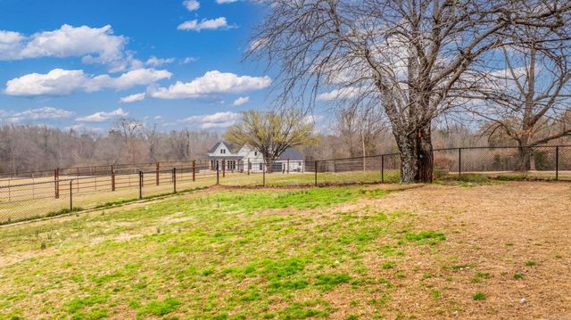 17 N Bolden, Guy, AR 72061