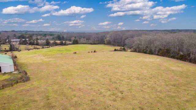 17 N Bolden, Guy, AR 72061