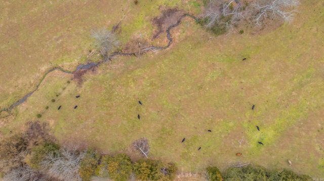 17 N Bolden, Guy, AR 72061