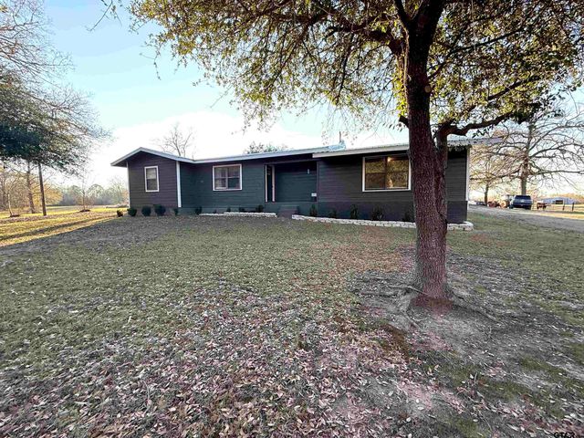 1820 County Road 4670, Pittsburg, TX 75686