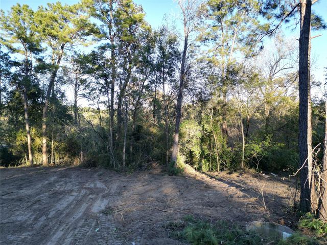 12604 Rollingwood Loop, Conroe, TX 77303