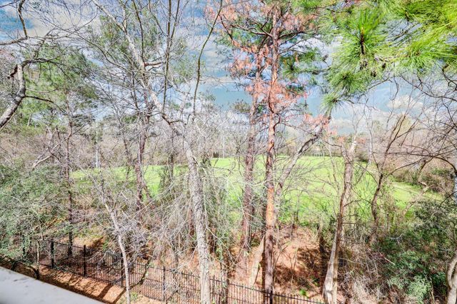 3500 Tangle Brush Drive 119, The Woodlands, TX 77381