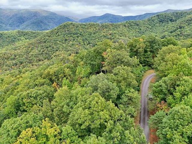 Lot 11 Skyview Drive, Hayesville, NC 28904