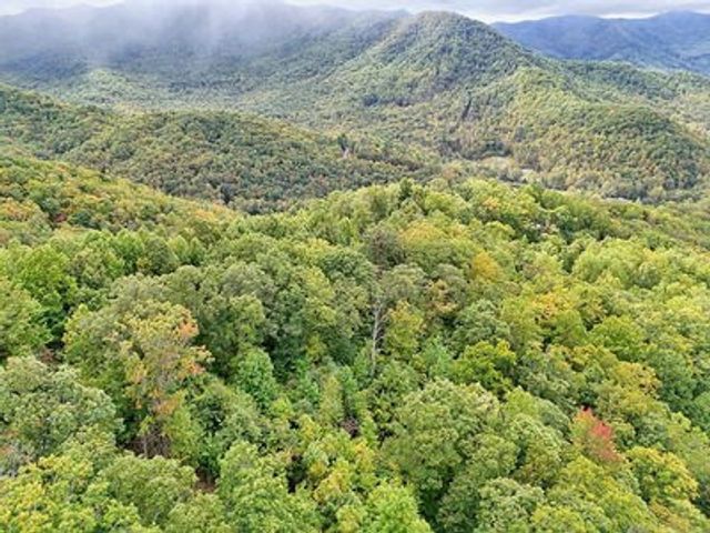 Lot 11 Skyview Drive, Hayesville, NC 28904