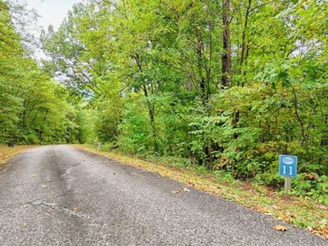 Lot 11 Skyview Drive, Hayesville, NC 28904