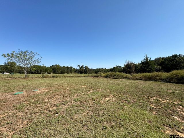 39 CR 1206, Daingerfield, TX 75638