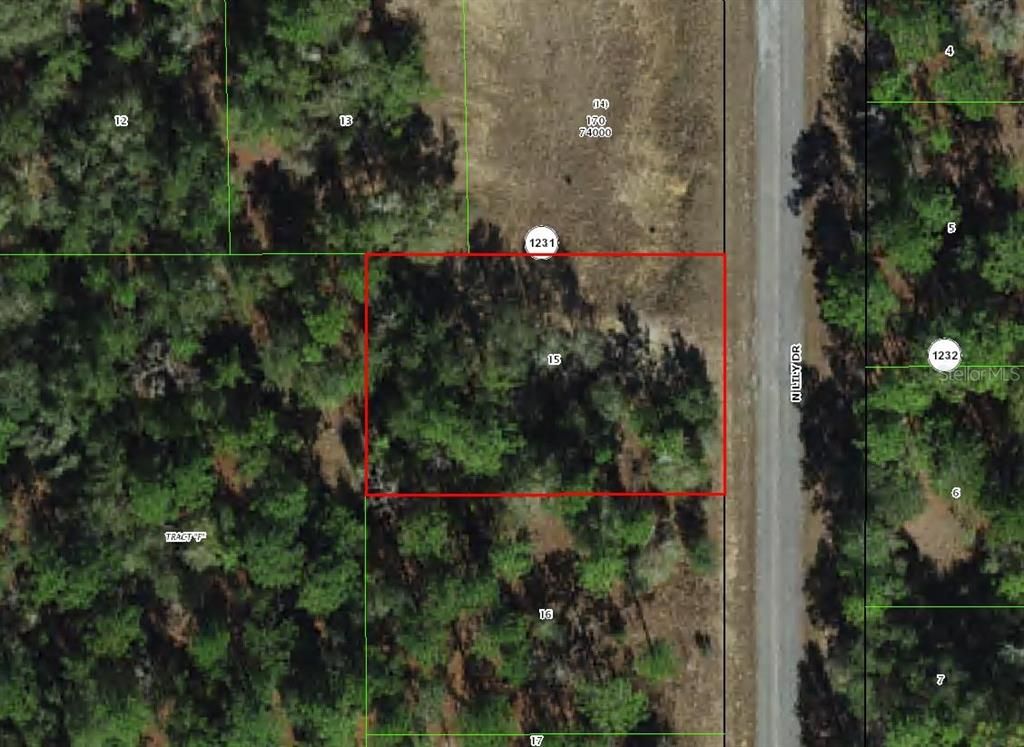 9592 N LILY DRIVE, Dunnellon, FL 34434