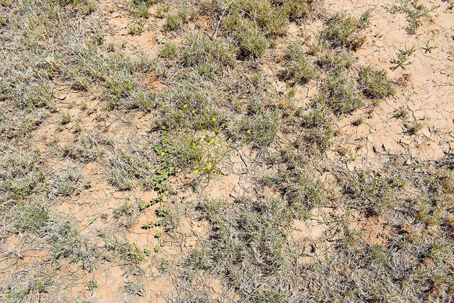 Lot 105 Rancho Rio Grande 16e, Los Lunas, NM 87031