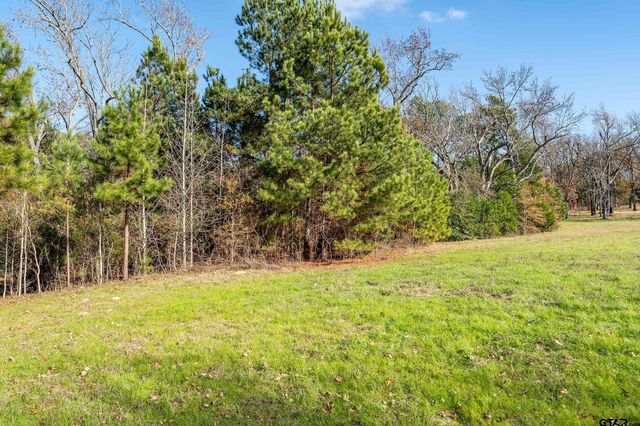 12244 CR 180, Tyler, TX 75703