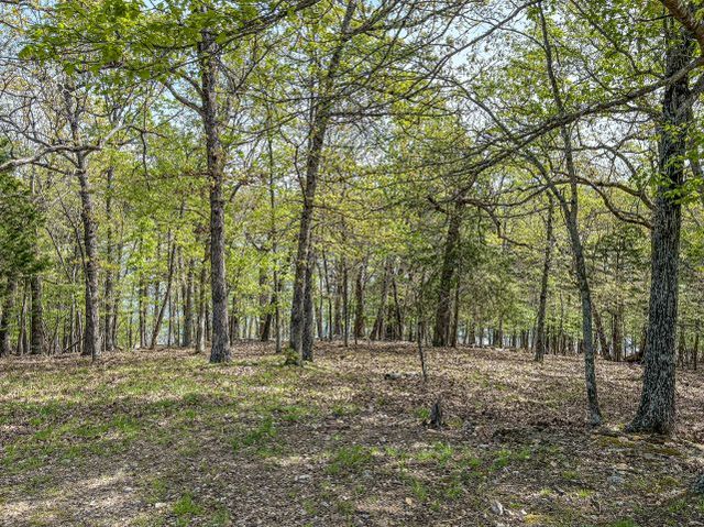 951 Marion County 8097, Yellville, AR 72687