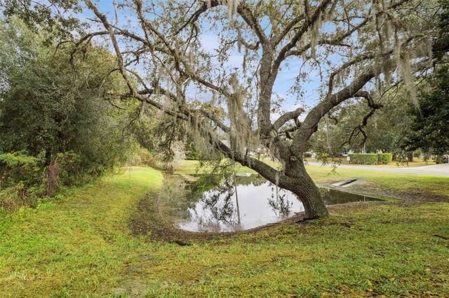 26320 EVERT STREET, Leesburg, FL 34748