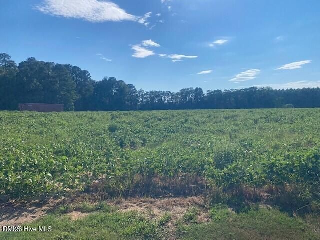 0 Stott Road, Bailey, NC 27807