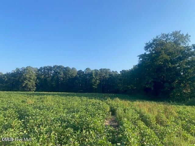 0 Stott Road, Bailey, NC 27807
