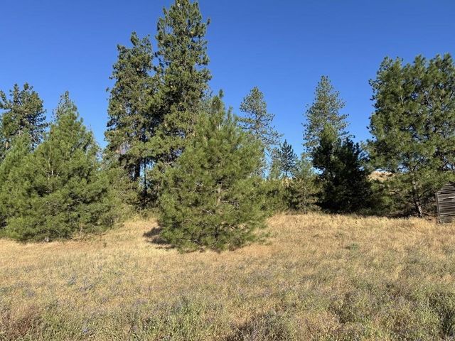 00X Hayford Rd, Spokane, WA 99224