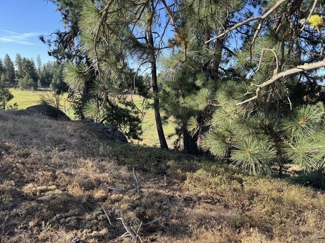 00X Hayford Rd, Spokane, WA 99224
