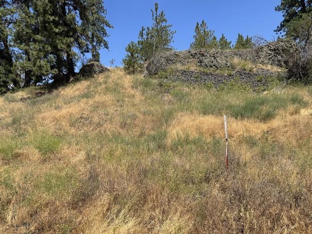 00X Hayford Rd, Spokane, WA 99224