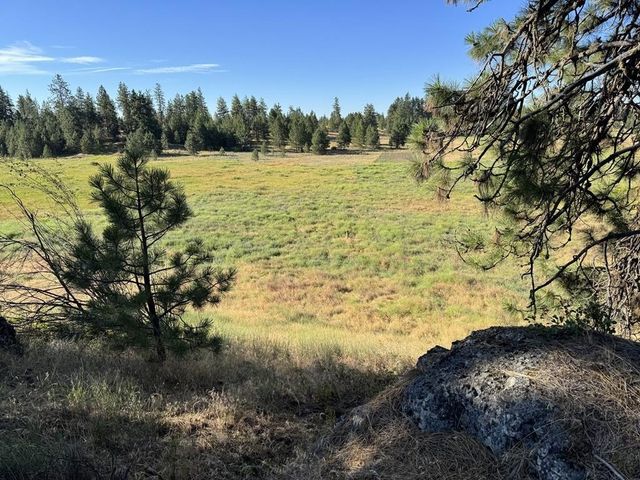 00X Hayford Rd, Spokane, WA 99224