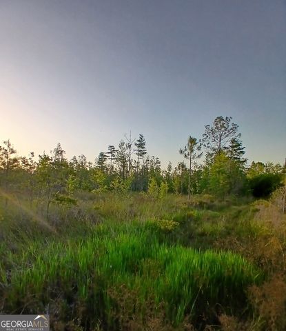 10623 Highway 94 Highway 2, St. George, GA 31562