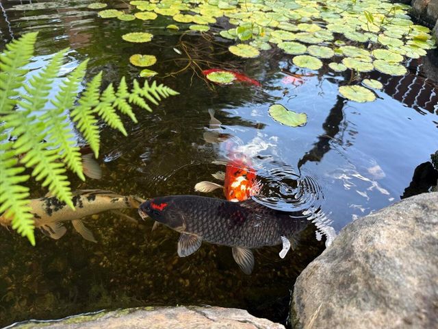 1956 Gage Lane, Eureka, CA 95503