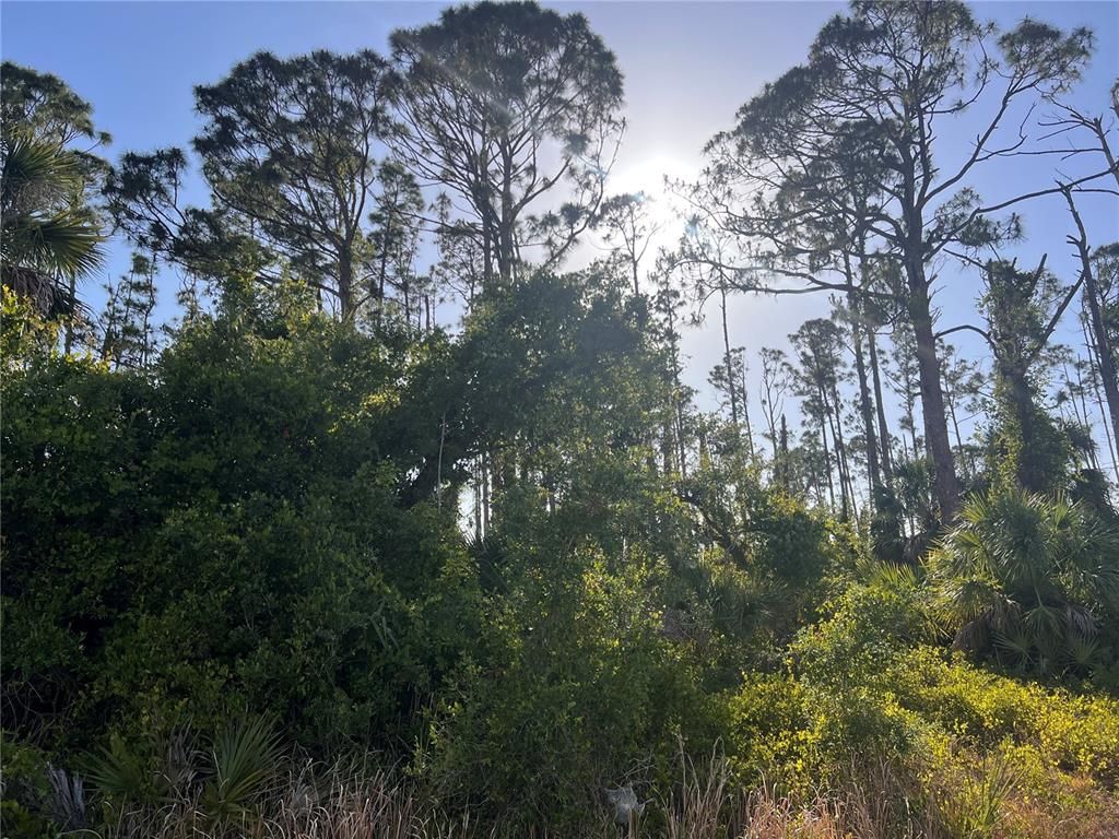 RUFUS ROAD, North Port, FL 34288