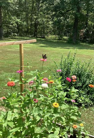 60 Flathead Drive, Cherokee Village, AR 72529