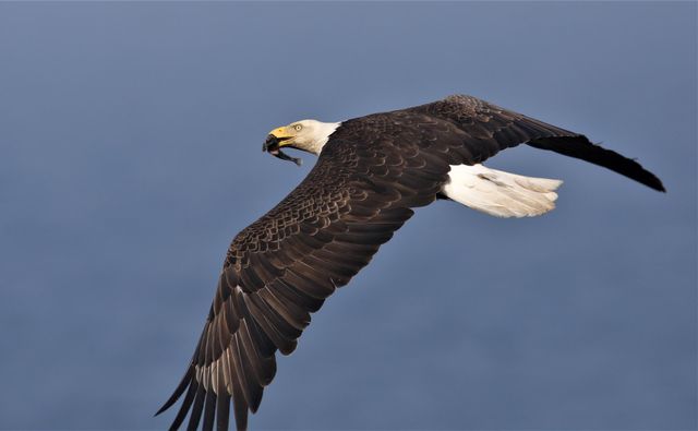 4745 S Lakeshore Drive, Ludington, MI 49431