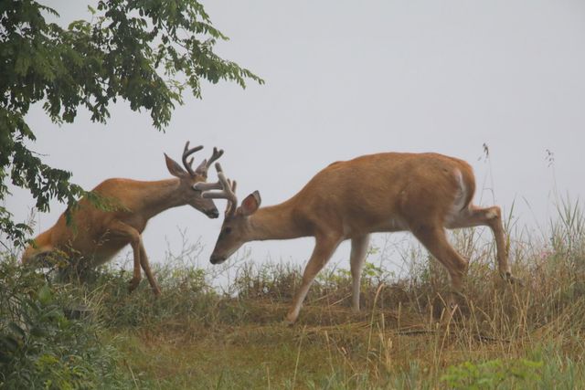 4745 S Lakeshore Drive, Ludington, MI 49431