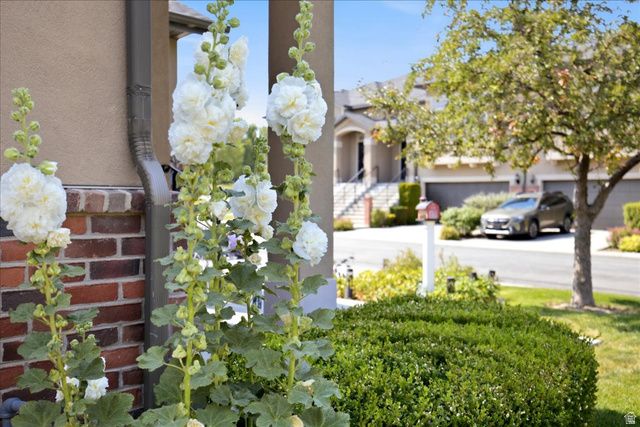 3081 W BALD MOUNTAIN DR, Taylorsville, UT 84129