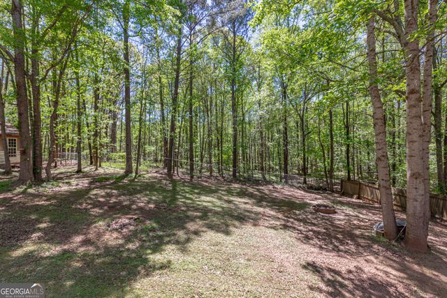 230 Winchester Drive, Sharpsburg, GA 30277