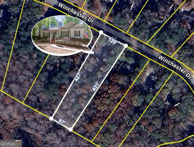 230 Winchester Drive, Sharpsburg, GA 30277