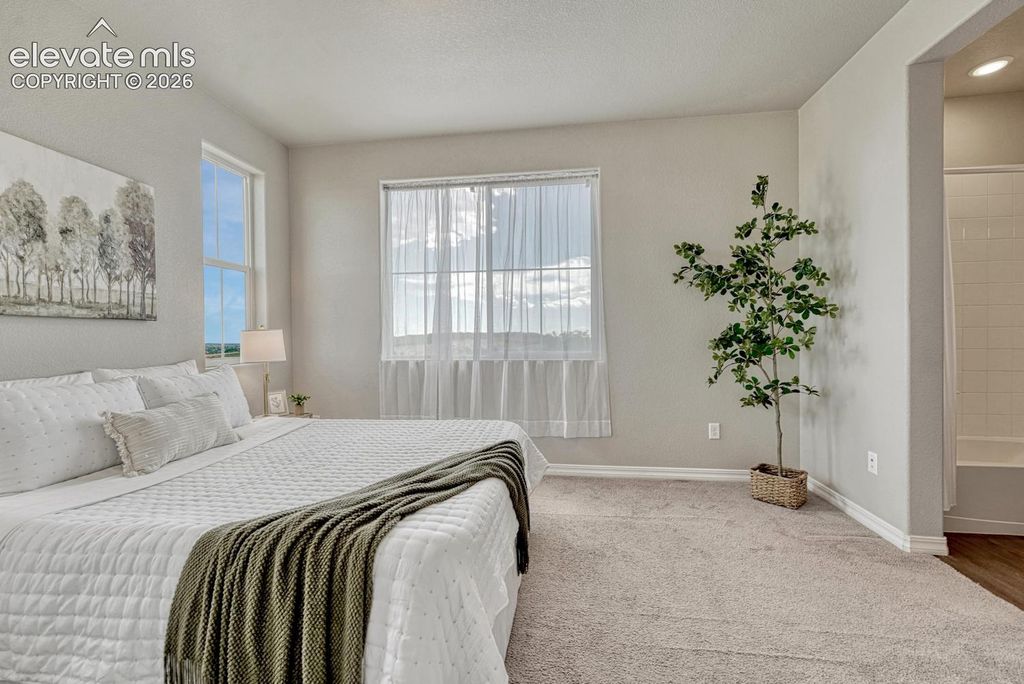 5590 Stetson Hills Boulevard, Colorado Springs, CO 80917 — photo 5