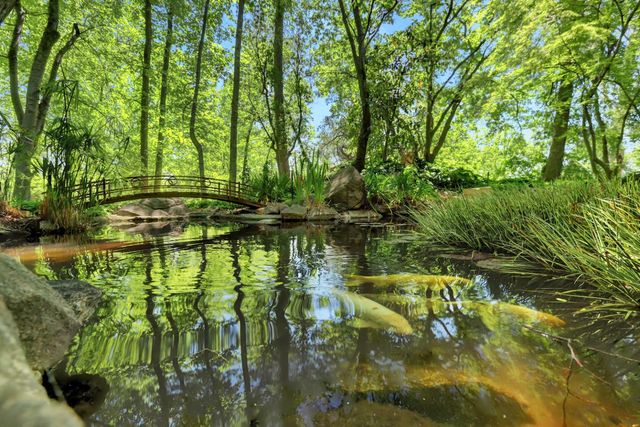 14511 Clear Creek Pl, Grass Valley, CA 95949