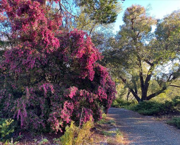 14511 Clear Creek Pl, Grass Valley, CA 95949