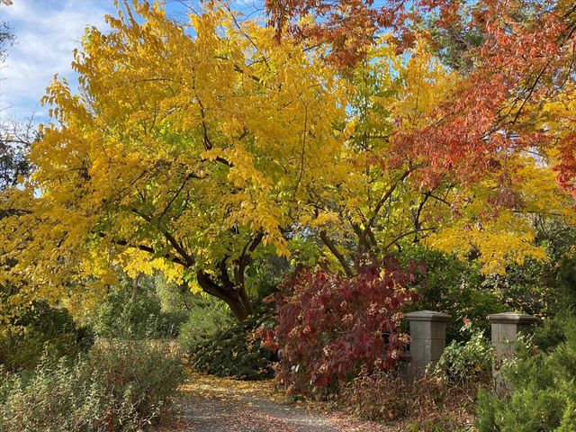 14511 Clear Creek Pl, Grass Valley, CA 95949