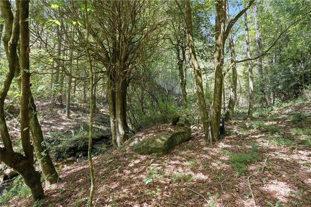 37 Abernathy Lane, Ellijay, GA 30540