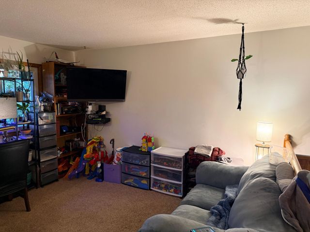 11309 Louisiana Avenue N, Champlin, MN 55316