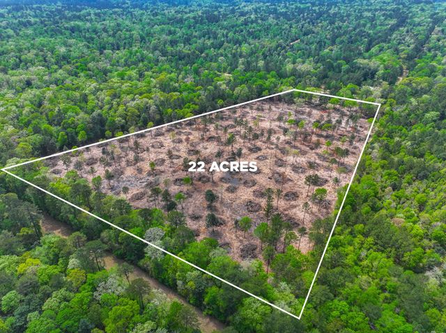 120 Royce Lane, Livingston, TX 77351