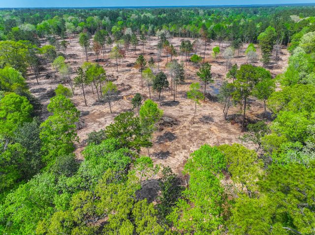 120 Royce Lane, Livingston, TX 77351