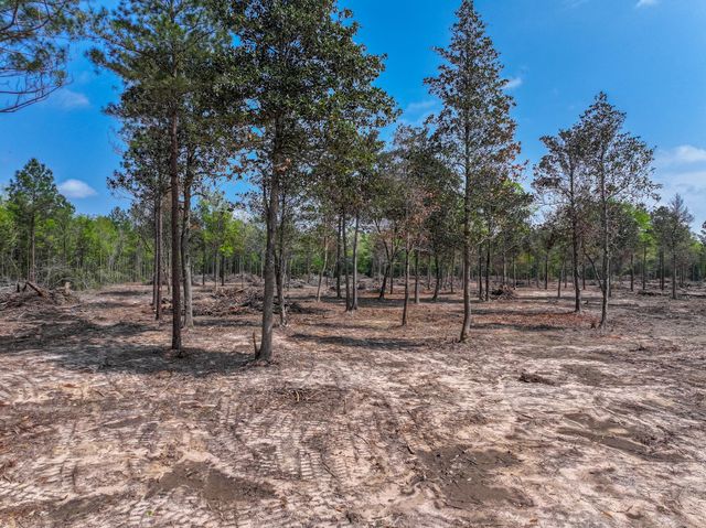 120 Royce Lane, Livingston, TX 77351