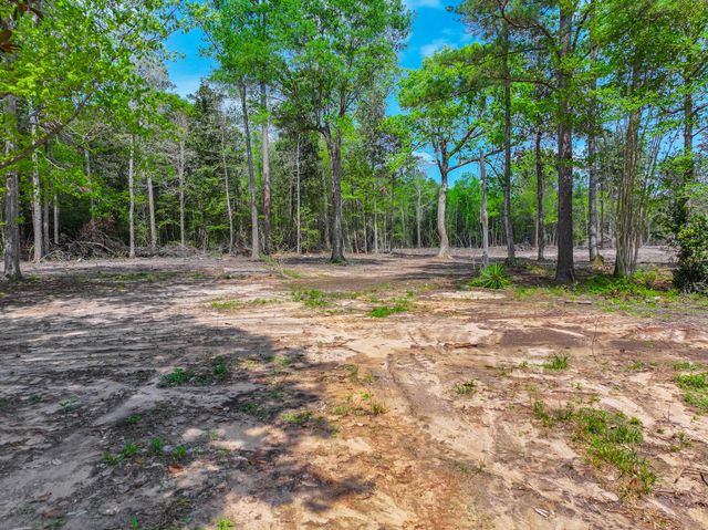 120 Royce Lane, Livingston, TX 77351