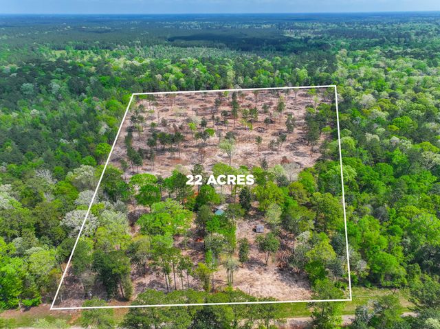 120 Royce Lane, Livingston, TX 77351