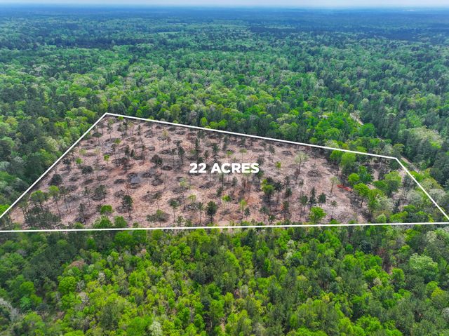 120 Royce Lane, Livingston, TX 77351