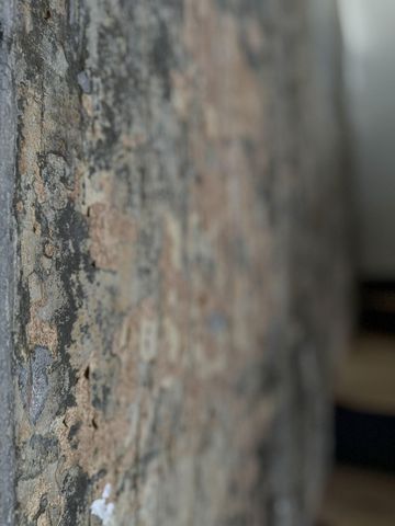 220 Progress Drive, Signal Mountain, TN 37377